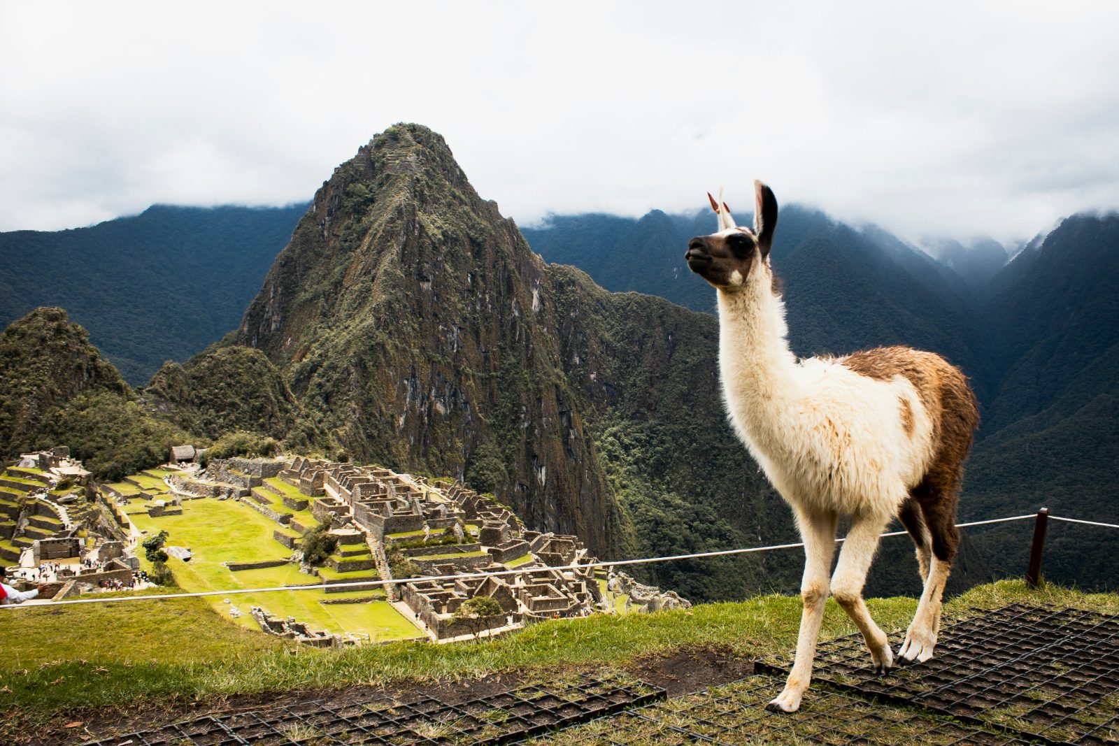 Machu Picchu por la mañana – Tren 360°